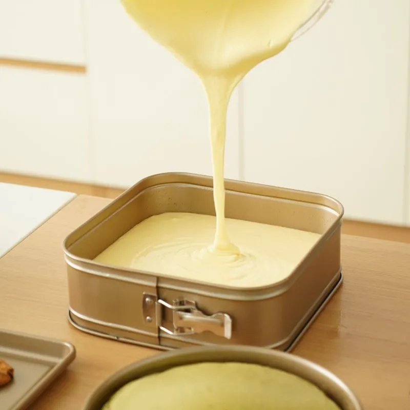 9 inch square springform sponge cake pan
